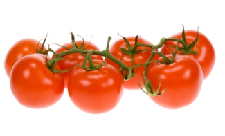 tomato