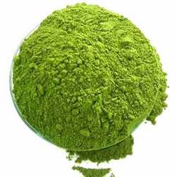 moringa-leaf-powder