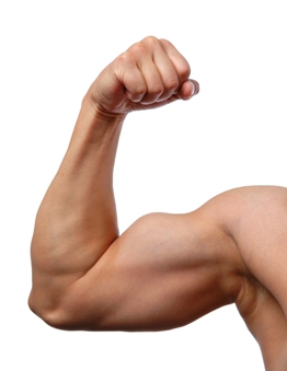 exercise_basics
